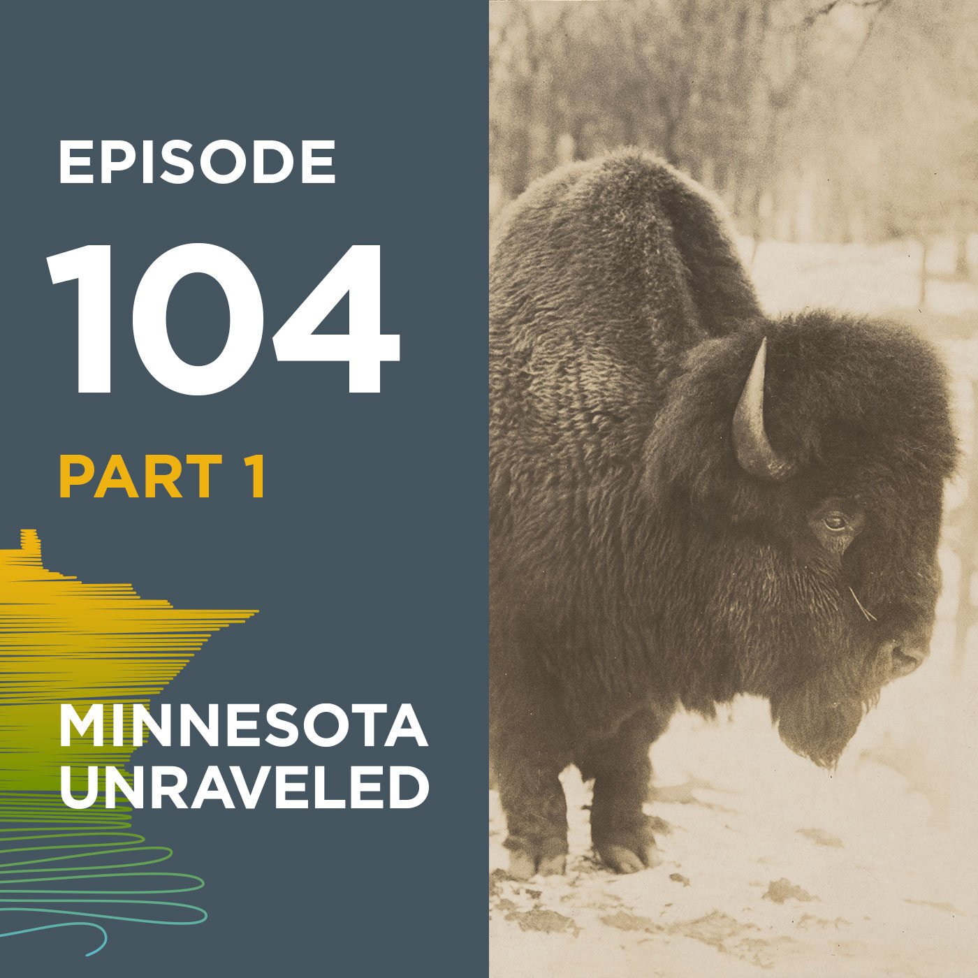 Part One: Searching for Bison in Minnesota History